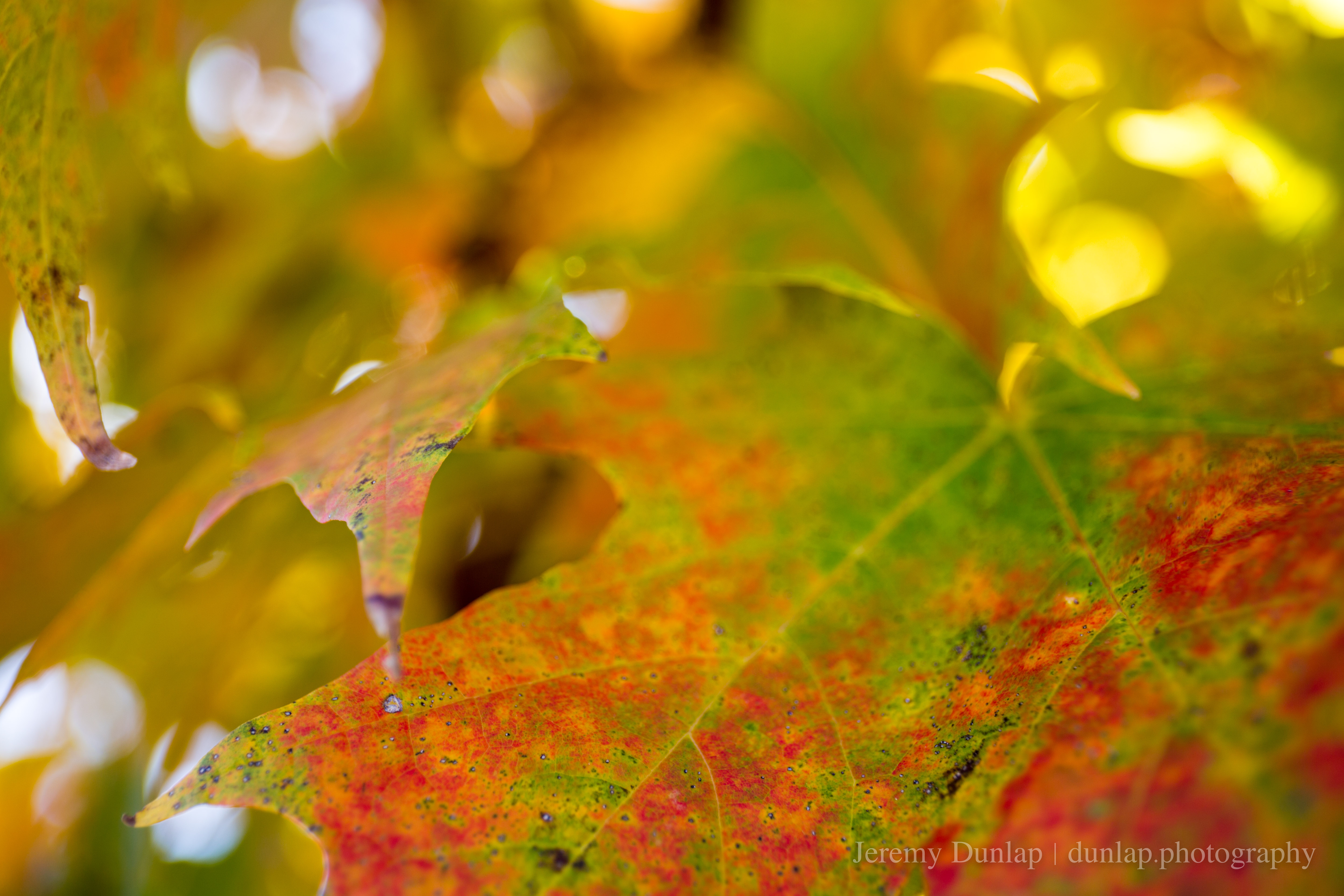 Landscape photograph by Jeremy Dunlap