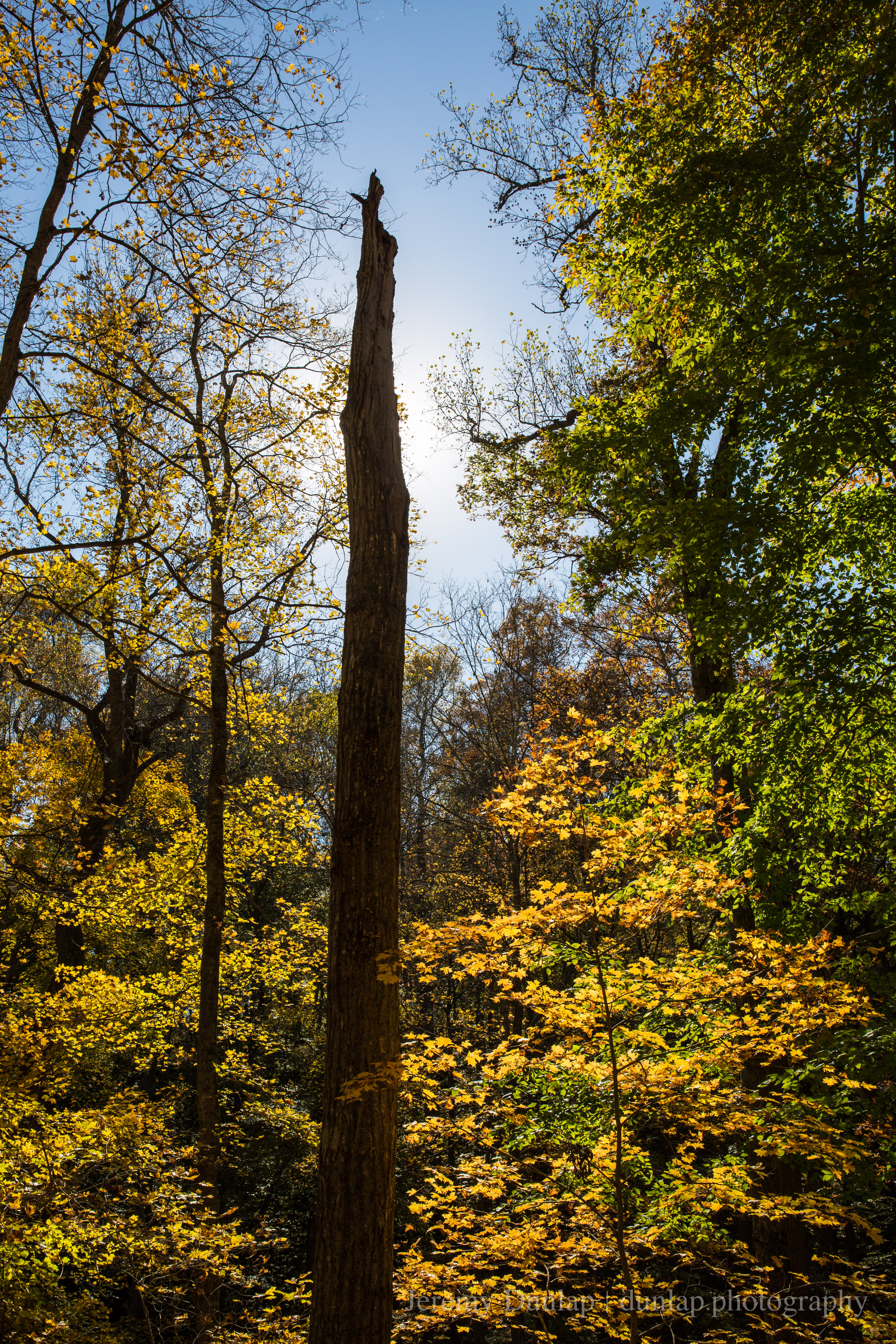Landscape photograph by Jeremy Dunlap