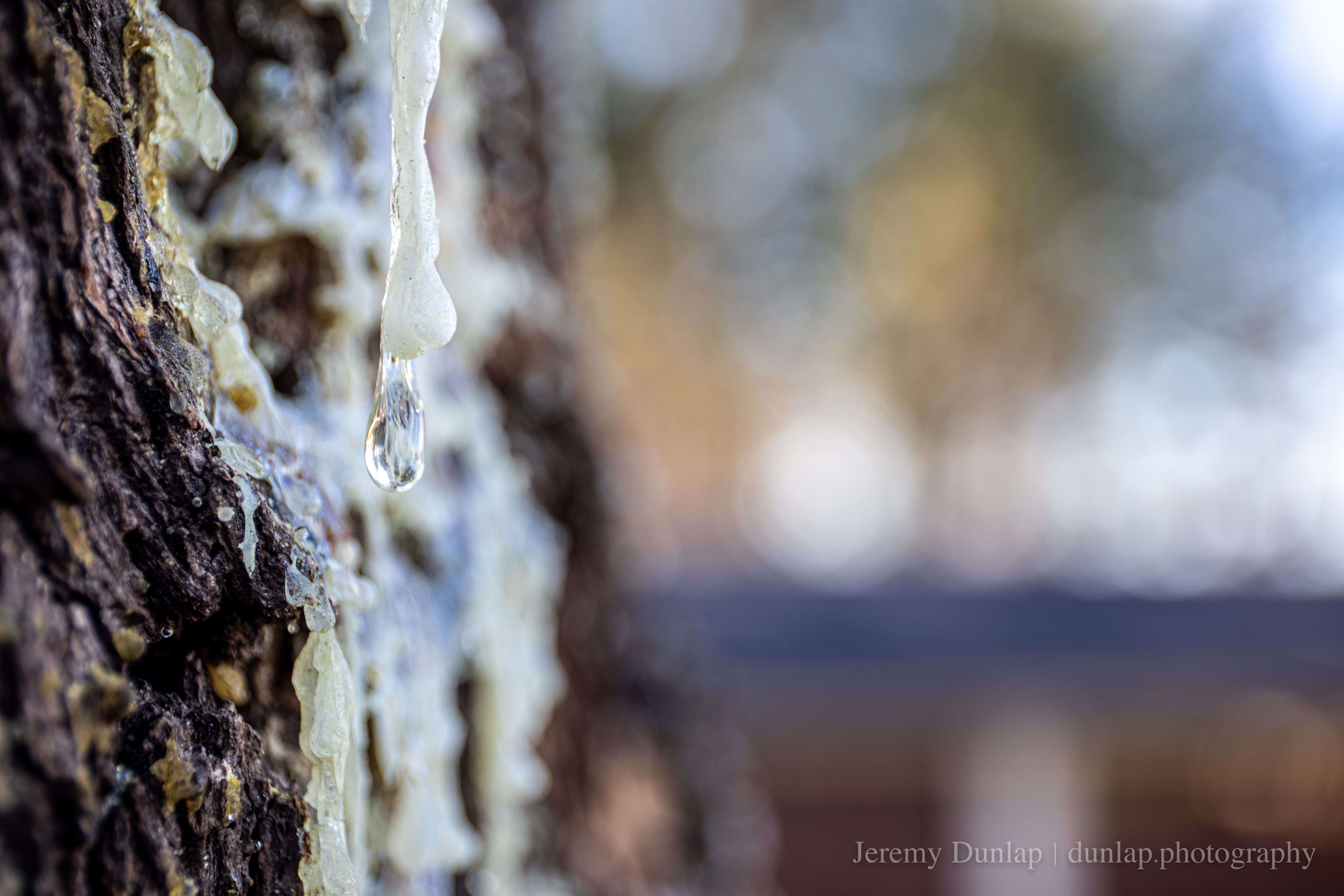 Landscape photograph by Jeremy Dunlap